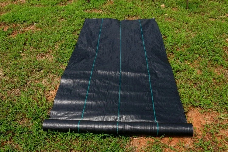 OEM Black/Green/White Color Agriculture Garden Anti UV PP Woven Geotextile Ground Cover Weedblock Control Barrier Landscape Fabric Weed Mat