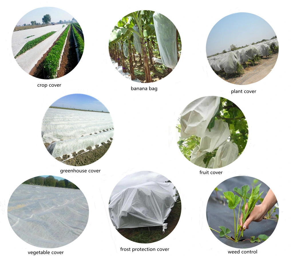 Agriculture UV Nonwoven PP Spunbond Nonwoven Fabric for Film/ Weed Control