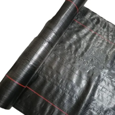 Tissu soutenu par fil résistant de tissu de géotextile de barrière tissée noire de limon