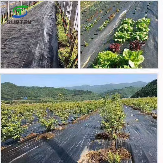 Noir/vert/blanc 50 % vierge PP/PE/plastique tissé géotextile de contrôle des mauvaises herbes/tissu pour l'agriculture/jardin/paysage